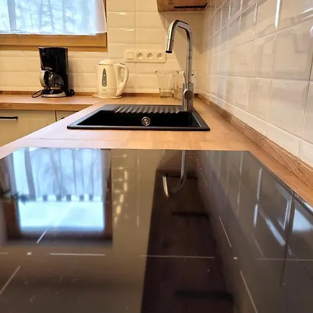 U Stezek Apartmán *